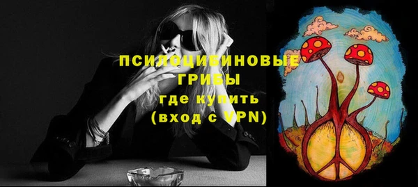 молекула духа Алзамай