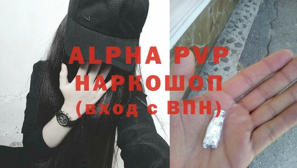 МДПВ Инсар